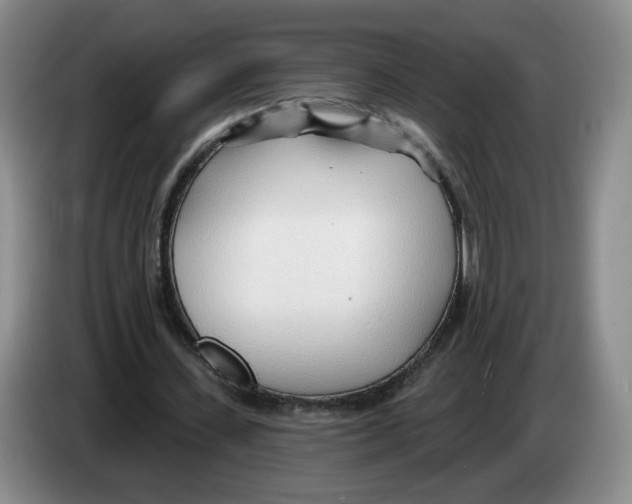 X0000083550531200703091556