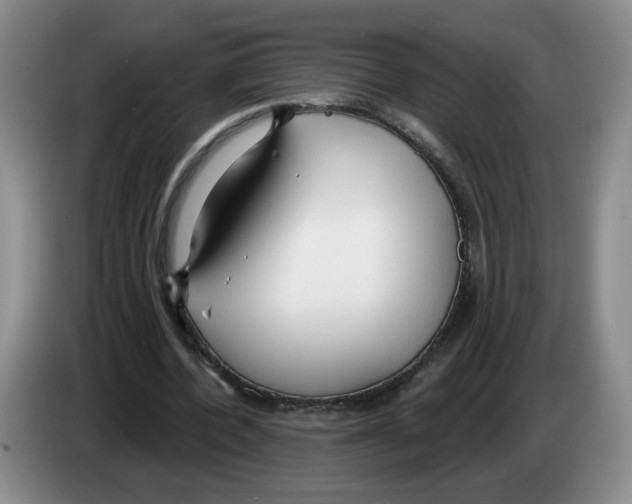 X0000083550532200703091556