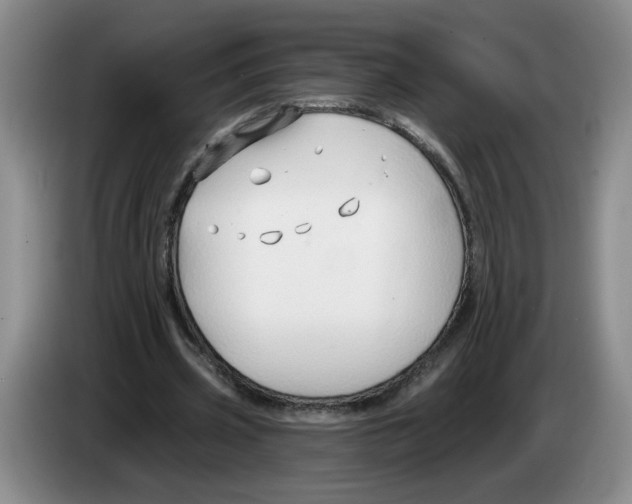 X0000083550533200703091556