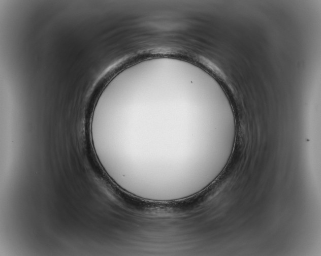 X0000083550535200703091556
