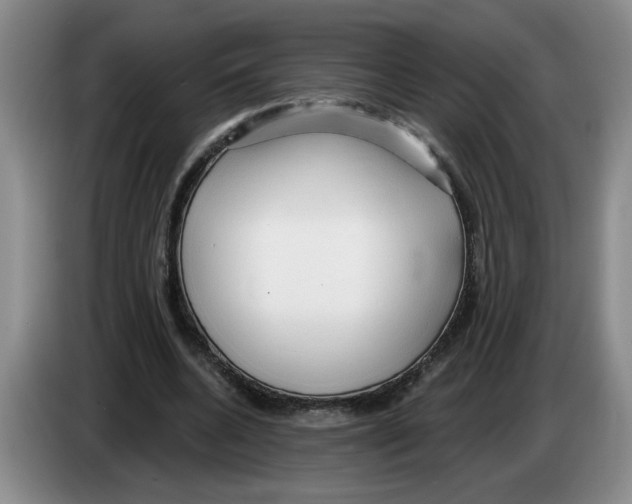 X0000083550536200703091556