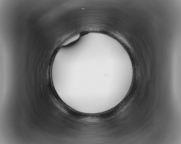 X0000083550537200703091556