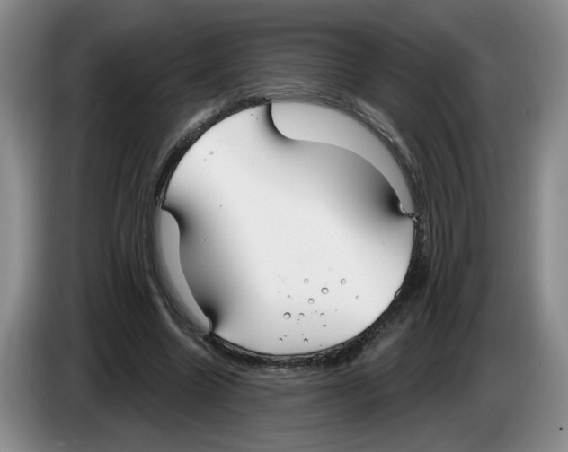 X0000083550538200703091556