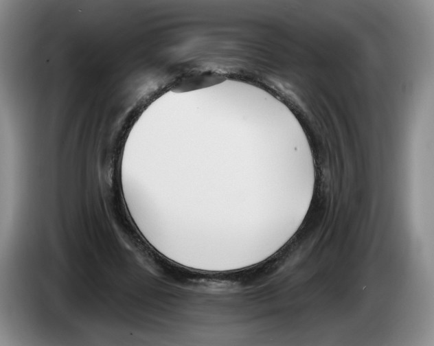 X0000083550539200703091556