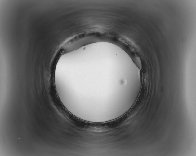 X0000083550540200703091556