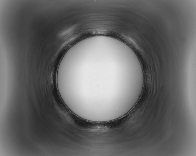 X0000083550543200703091556