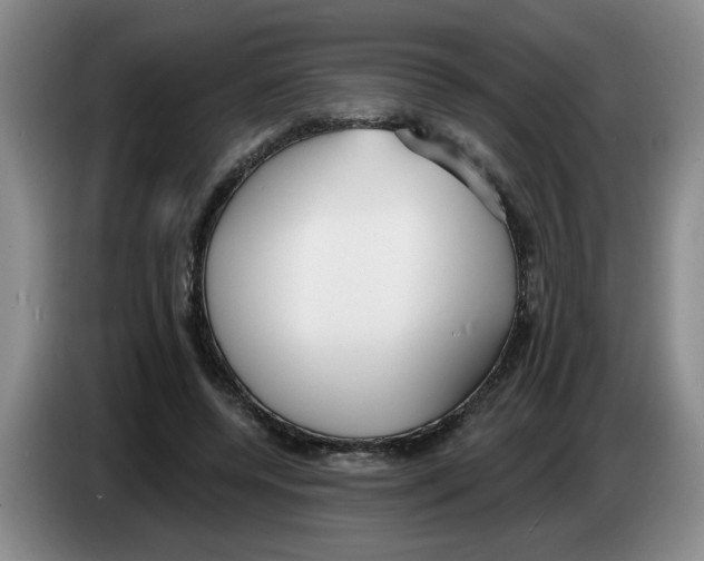 X0000083550544200703091556