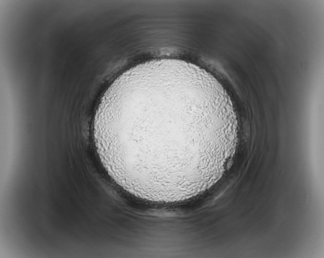 X0000083550545200703091556