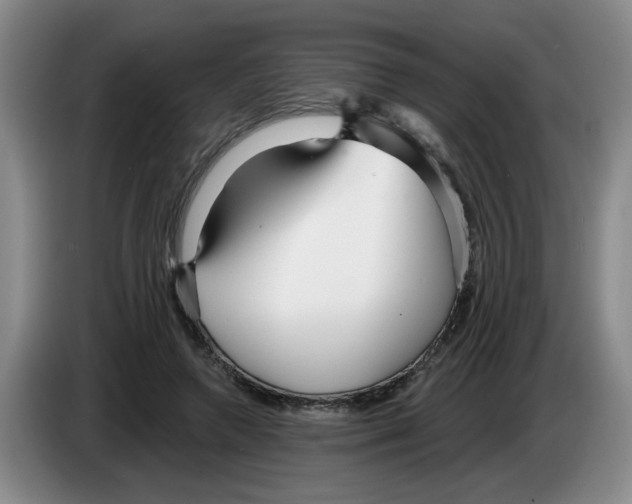 X0000083550546200703091556