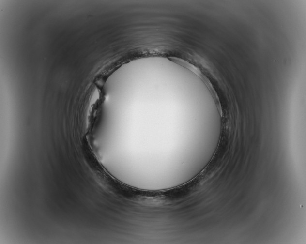 X0000083550548200703091556