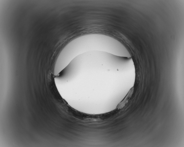 X0000083550552200703091556