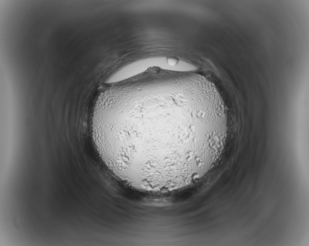 X0000083550553200703091556