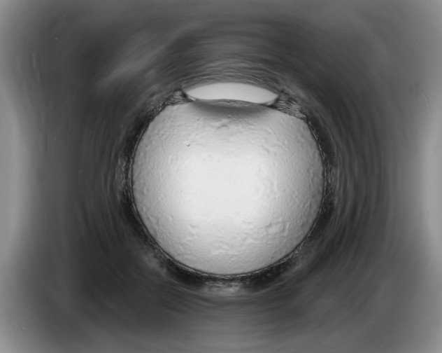 X0000083550554200703091556