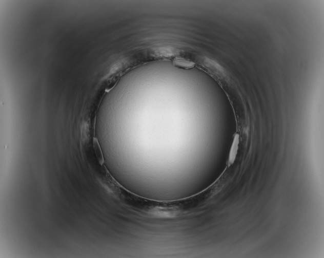 X0000083550556200703091556