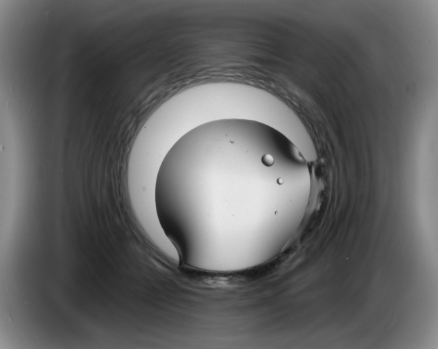 X0000083550558200703091556