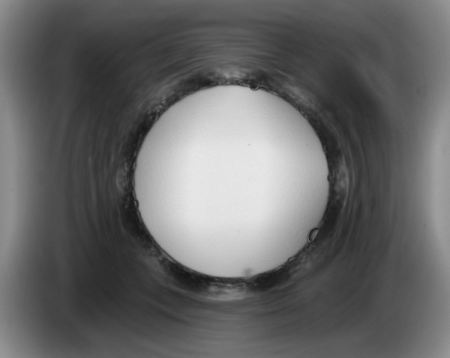 X0000083550559200703091556