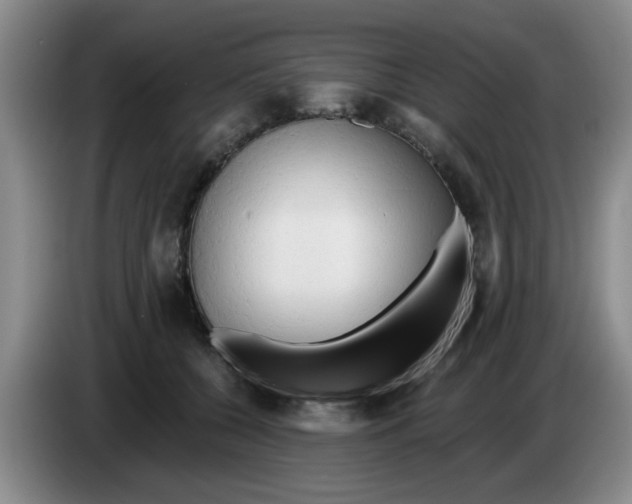 X0000083550560200703091556