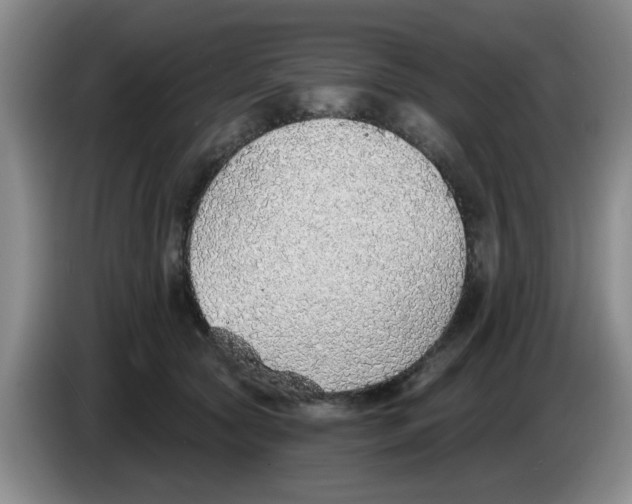 X0000083550561200703091556