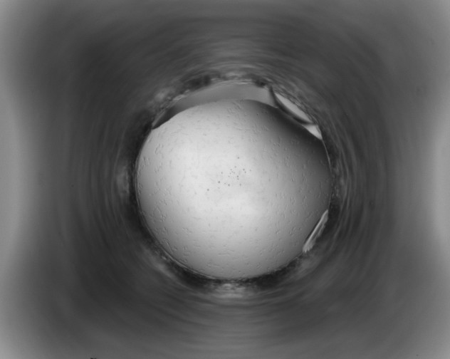 X0000083550562200703091556