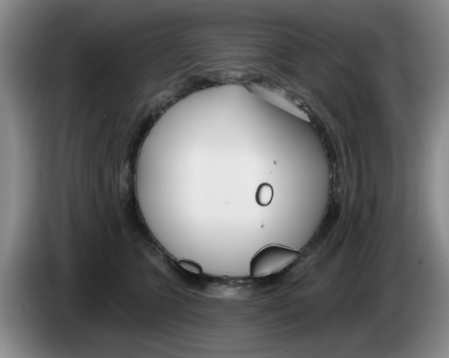 X0000083550563200703091556