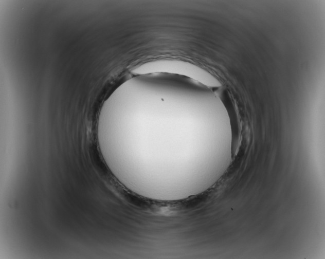 X0000083550564200703091556