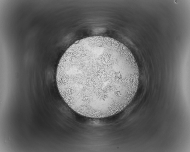 X0000083550565200703091556