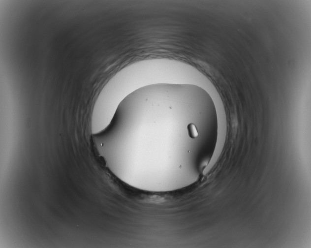 X0000083550566200703091556