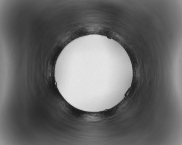 X0000083550567200703091556