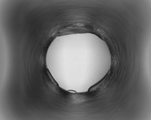 X0000083550568200703091556