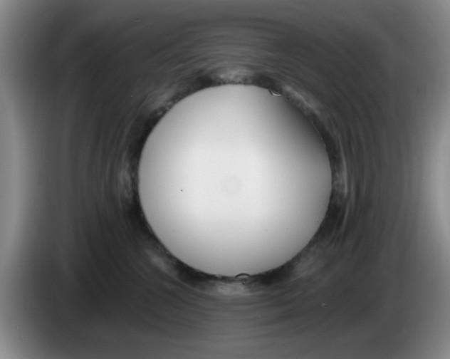 X0000083550572200703091556