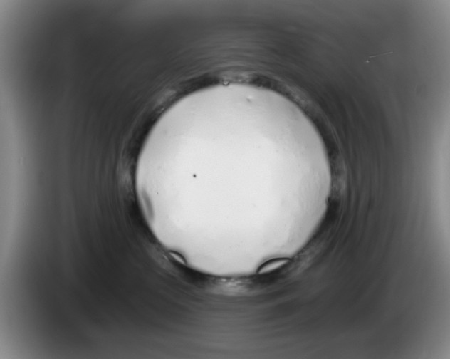 X0000083550573200703091556
