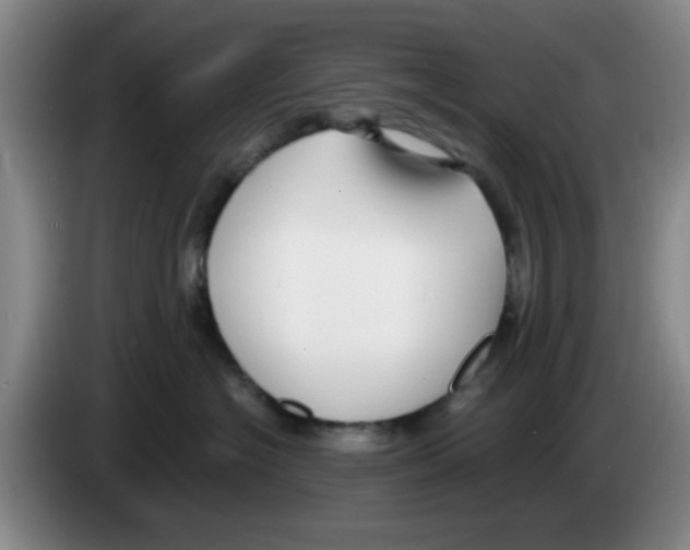 X0000083550574200703091556