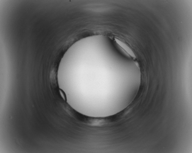 X0000083550575200703091556