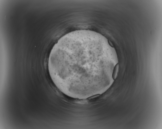 X0000083550576200703091556