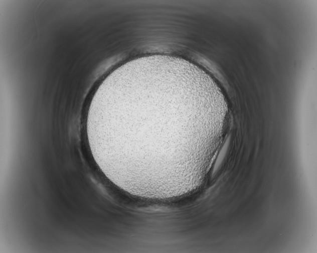 X0000083550578200703091556