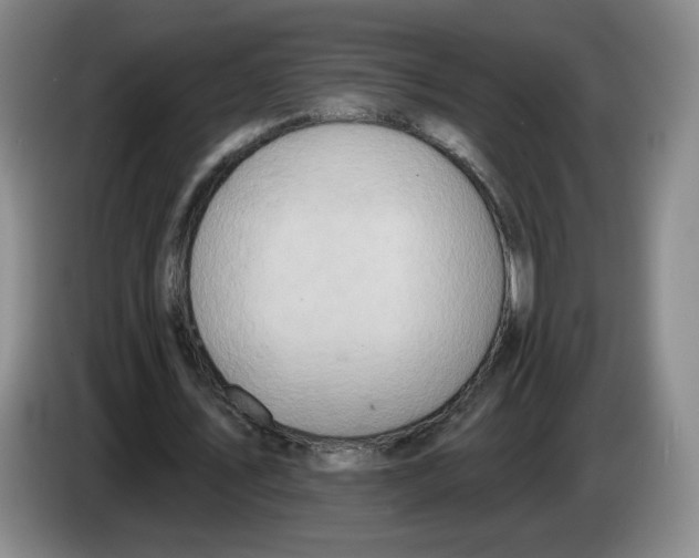 X0000083550579200703091556