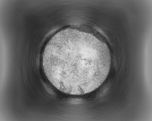 X0000083550586200703091556