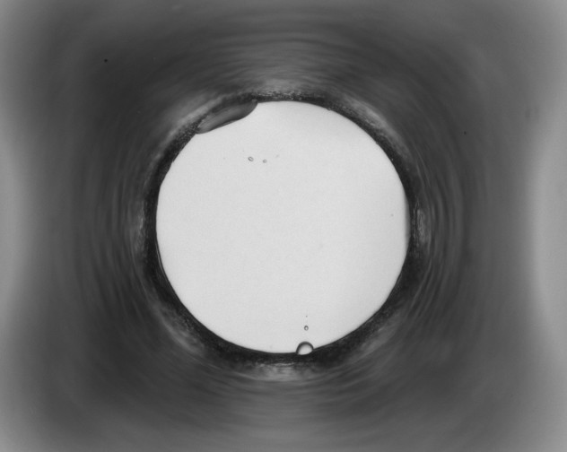X0000083550588200703091556