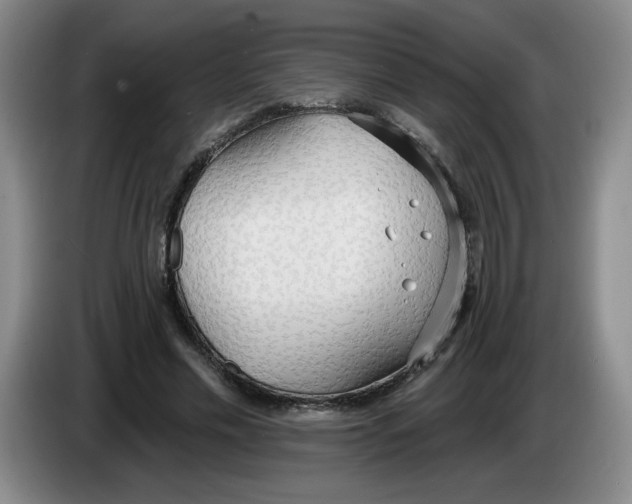 X0000083550589200703091556