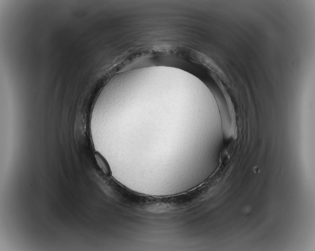 X0000083550593200703091556