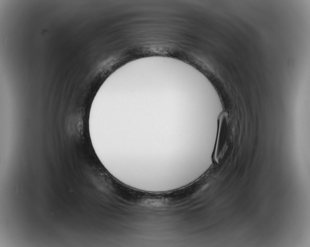 X0000083550595200703091556