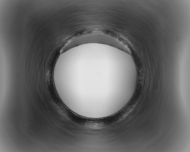 X0000083550597200703091556