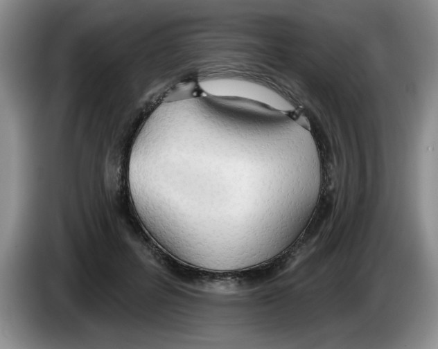 X0000083550600200703091555