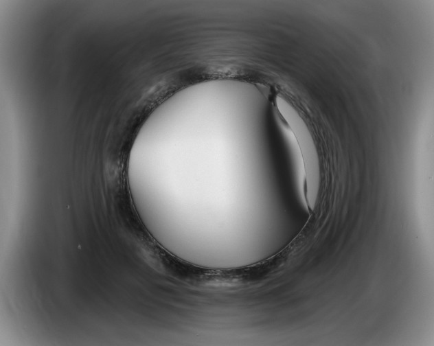 X0000083550601200703091555