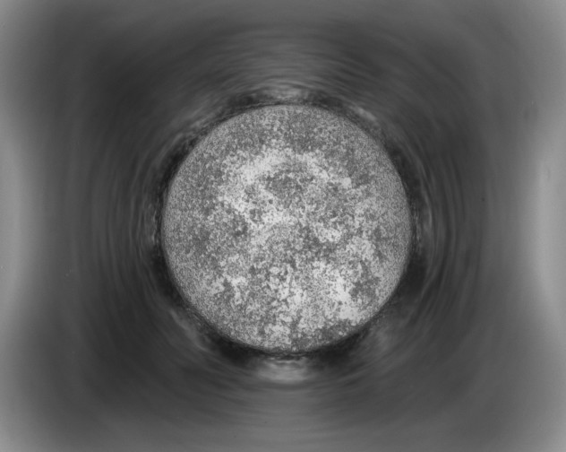 X0000083550606200703091555