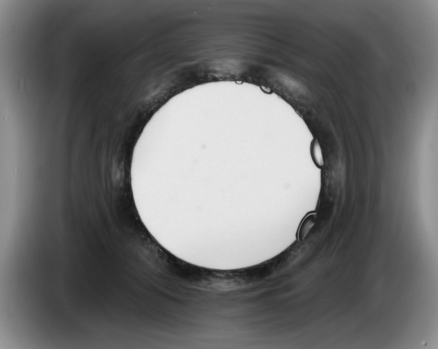 X0000083550608200703091555