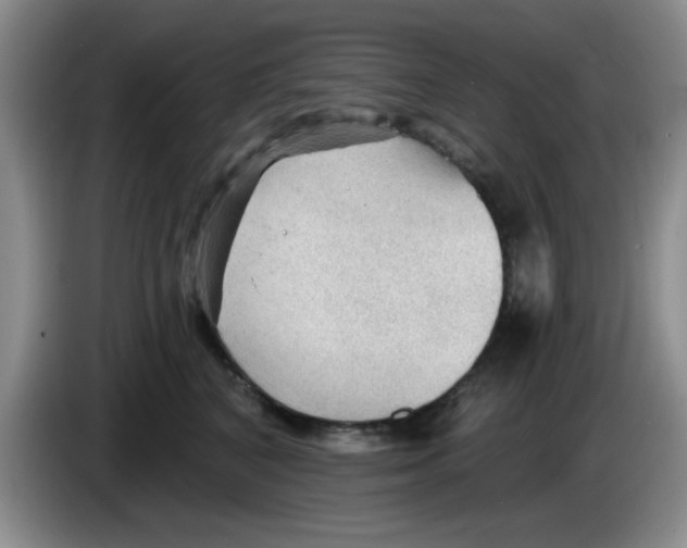 X0000083550616200703091555