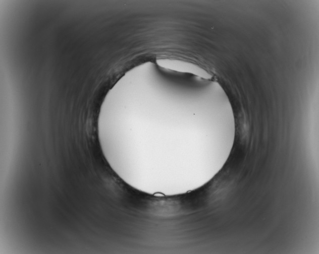 X0000083550619200703091555