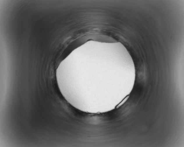 X0000083550620200703091555