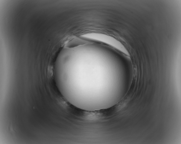 X0000083550621200703091555